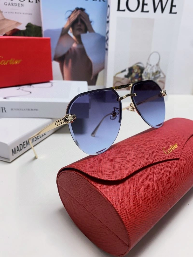 Minimalist Cartier Sunglasses 277506