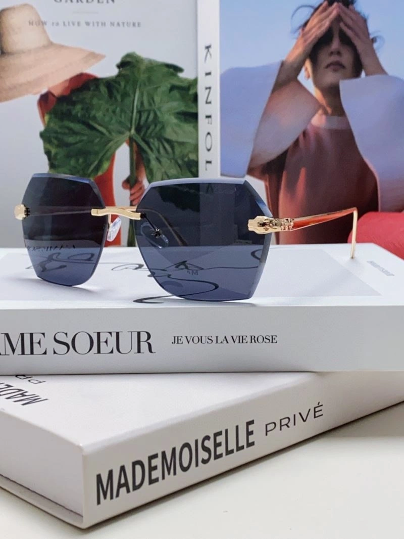 Snug Cartier Sunglasses 277504