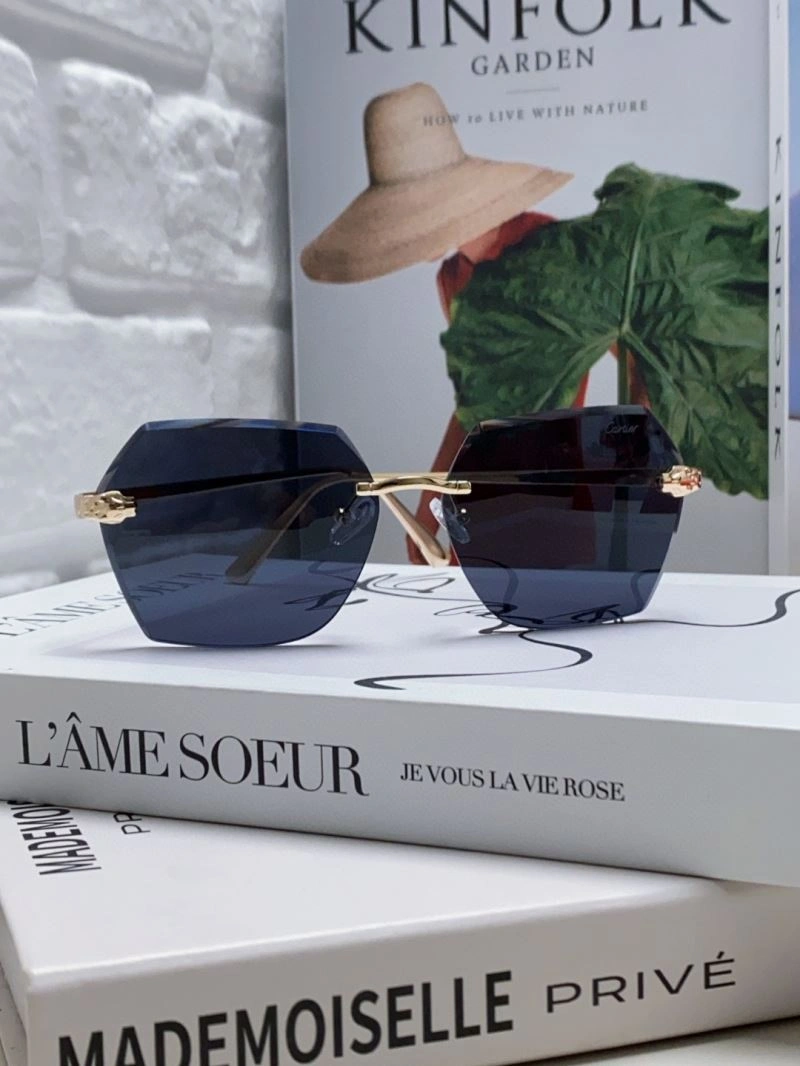 Snug Cartier Sunglasses 277504