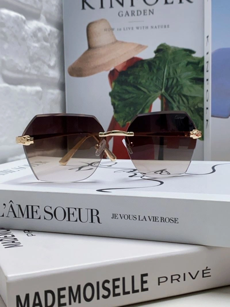 Flexible Cartier Sunglasses 277505