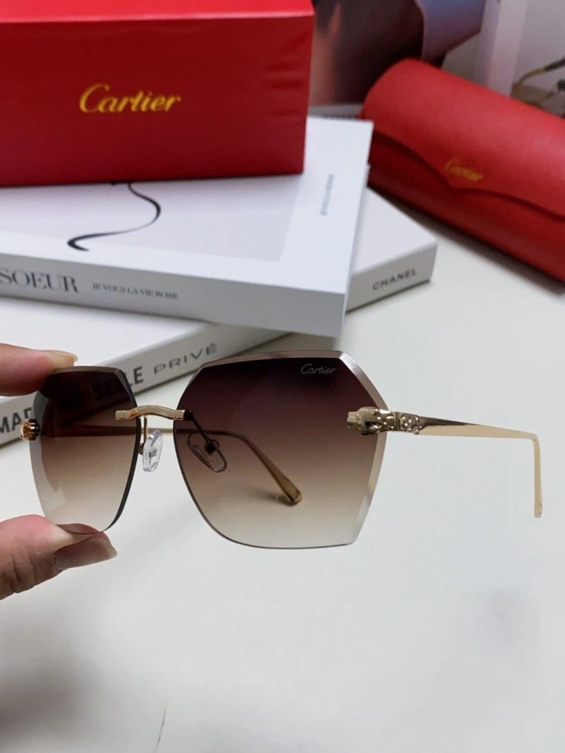 Flexible Cartier Sunglasses 277505