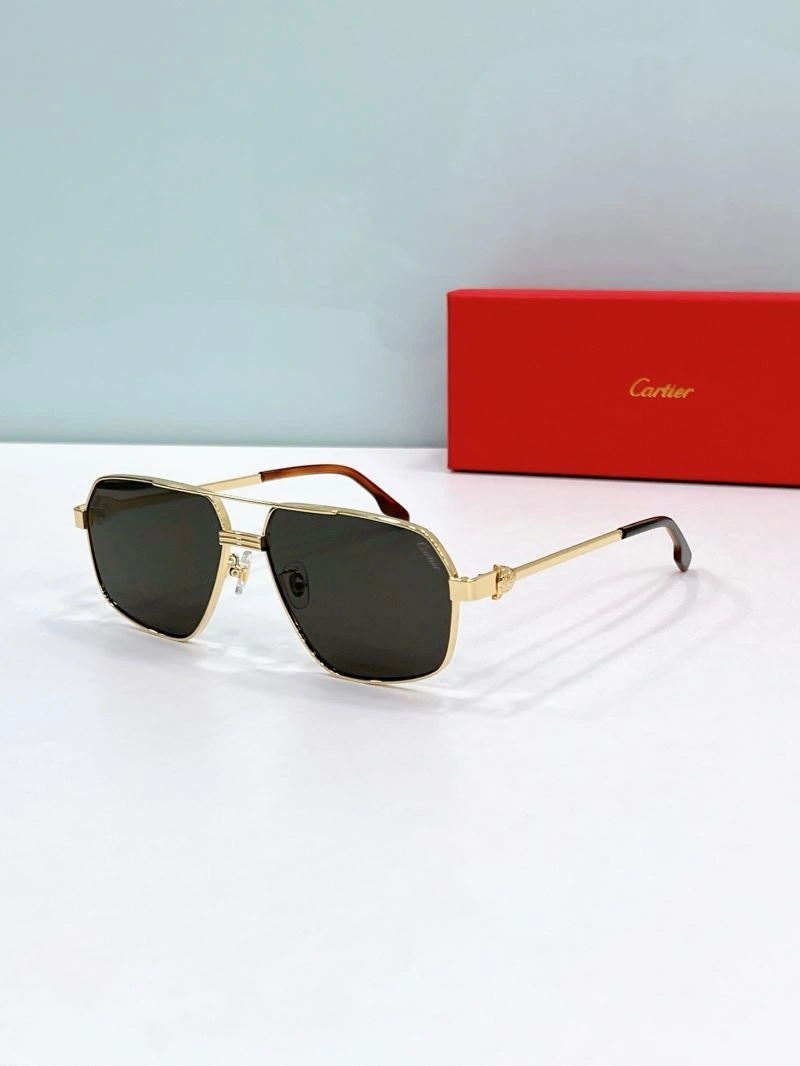 Cartier Sunglasses Functional 277706