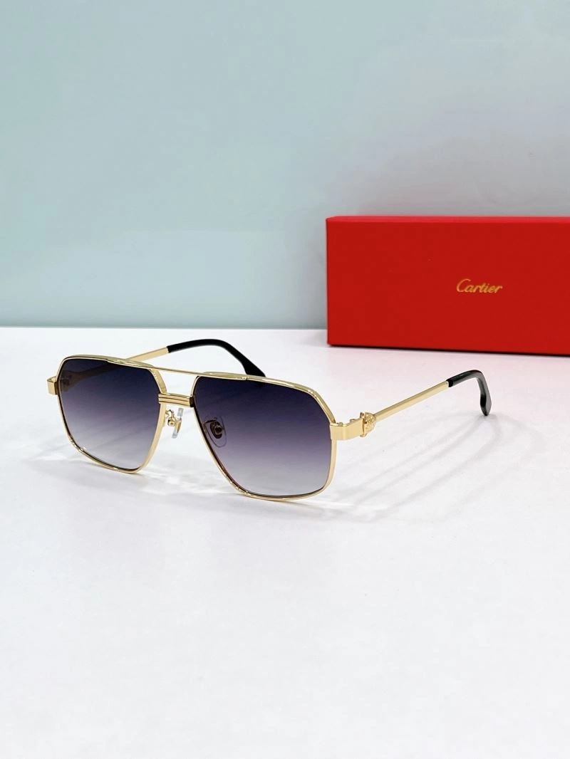Cartier Sunglasses Functional 277706