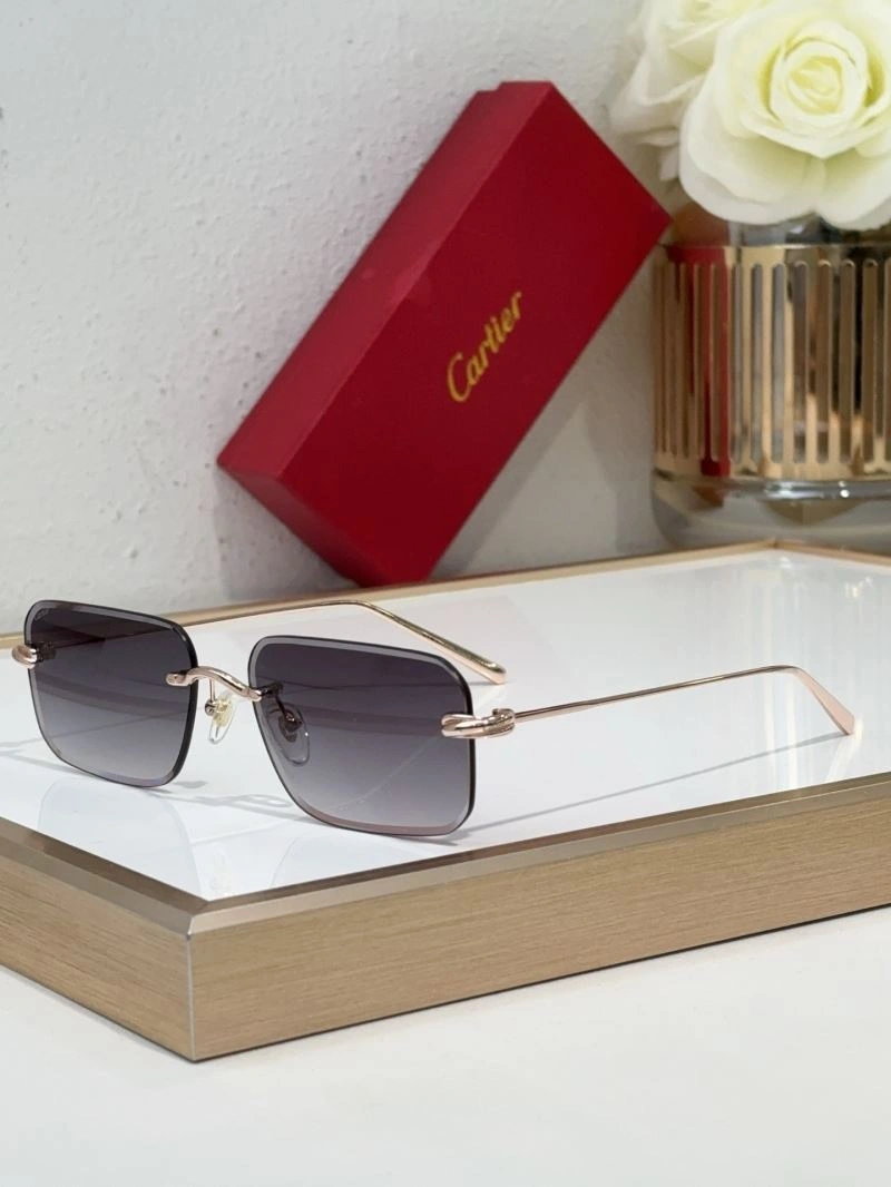 Flexible Cartier Sunglasses 277690