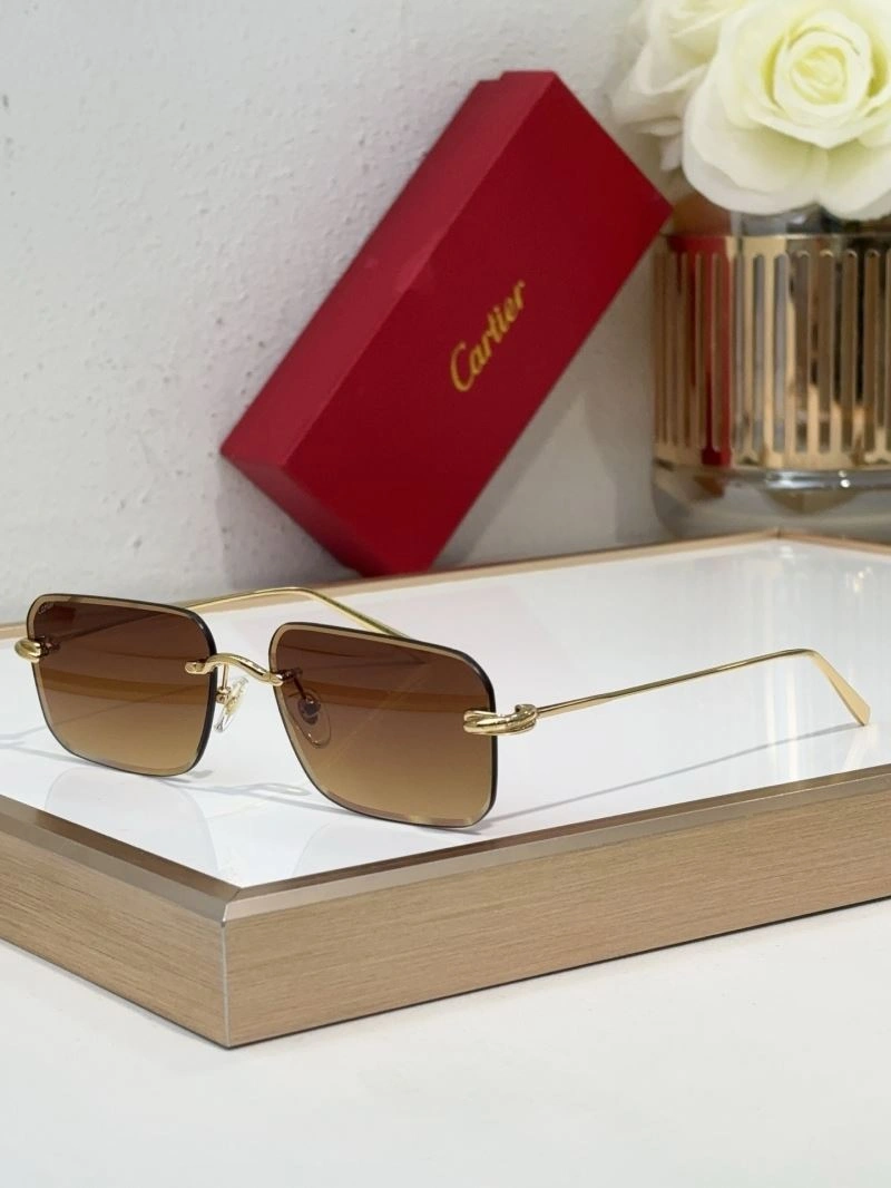 Flexible Cartier Sunglasses 277690