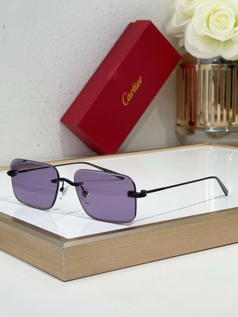 Flexible Cartier Sunglasses 277690