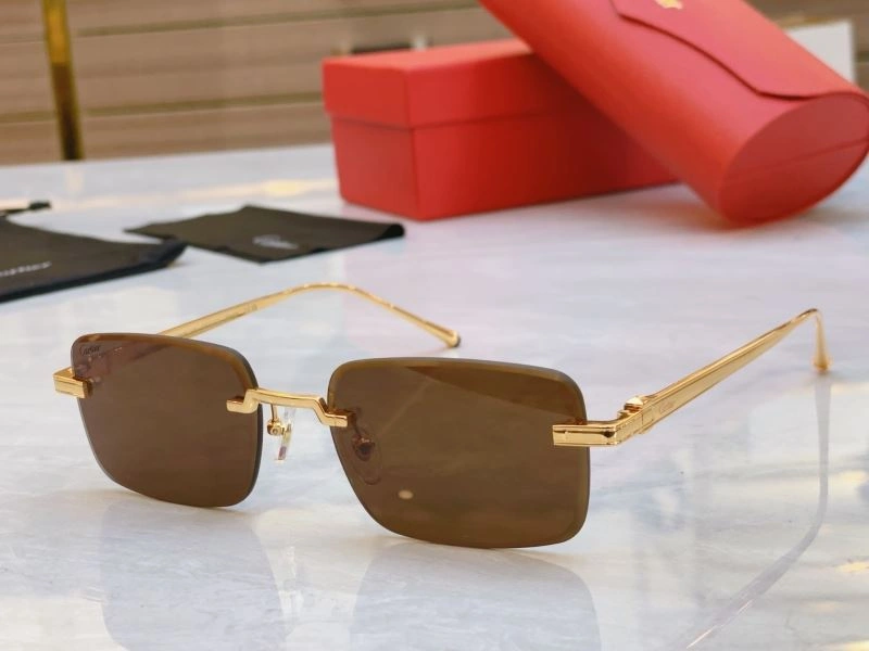 Cartier Sunglasses Soft 277626