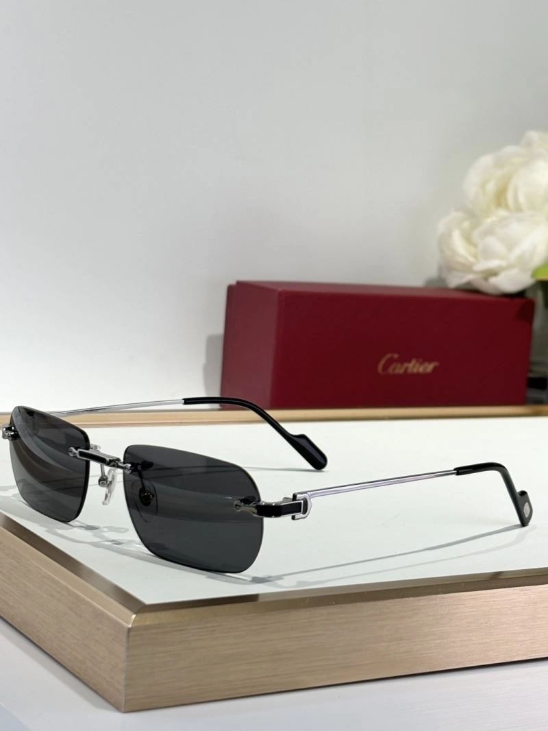 Durable Cartier Sunglasses 277612