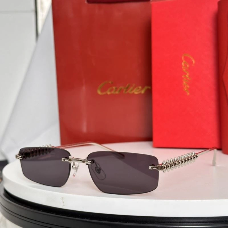Cartier Sunglasses Sustainable 277597