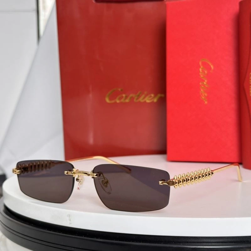 Cartier Sunglasses Sustainable 277597