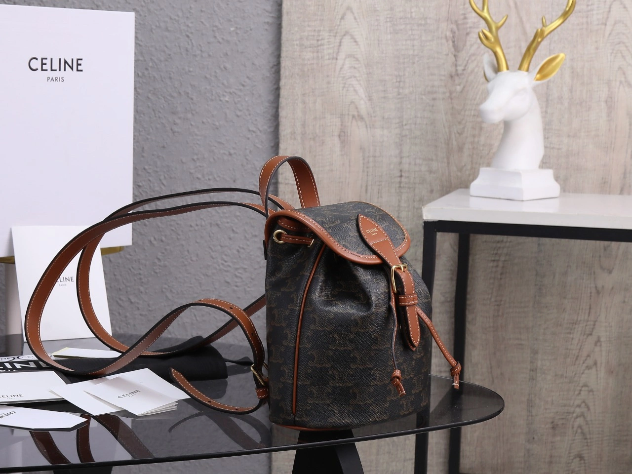 Celine Backpacks GoAnywhere 78545