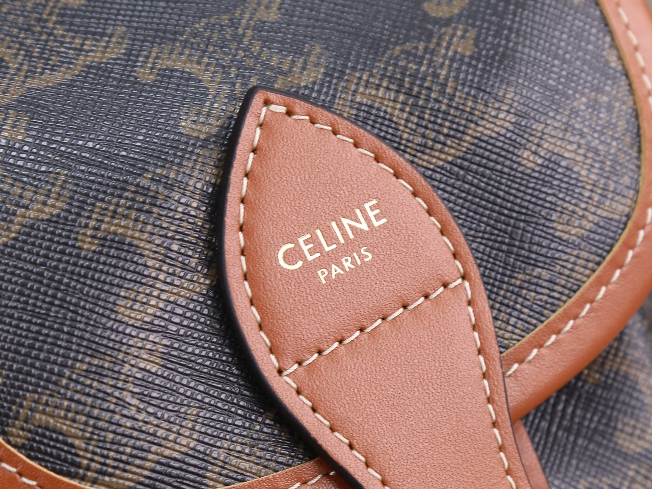 Celine Backpacks GoAnywhere 78545