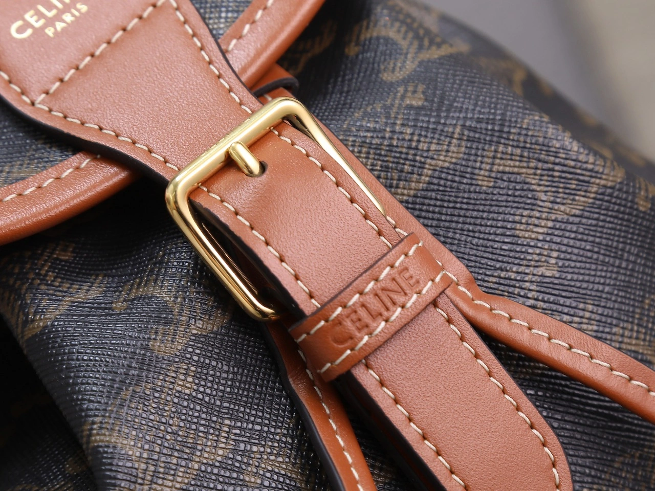 Celine Backpacks GoAnywhere 78545