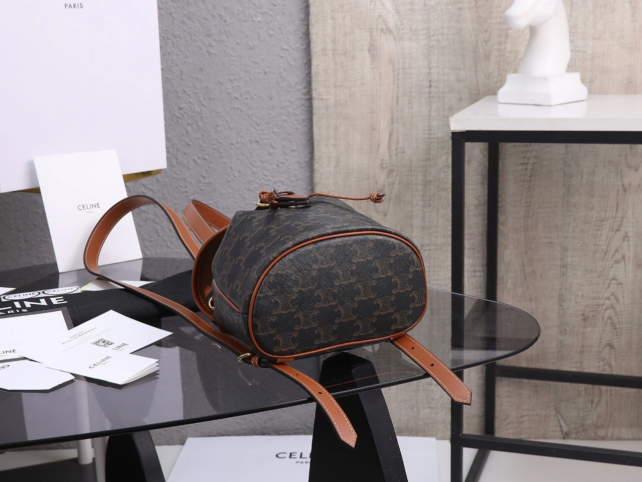 Celine Backpacks GoAnywhere 78545