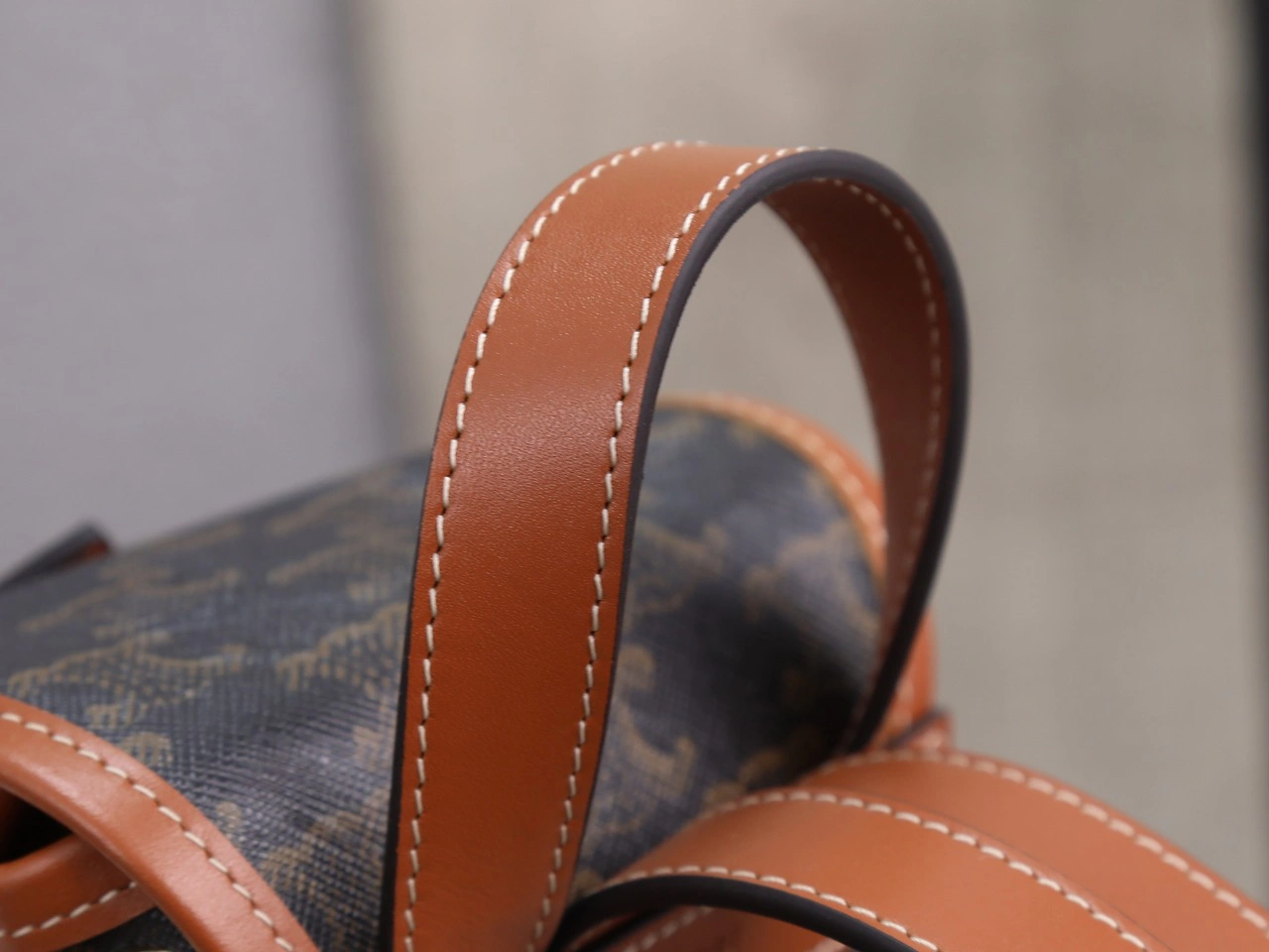 Celine Backpacks GoAnywhere 78545