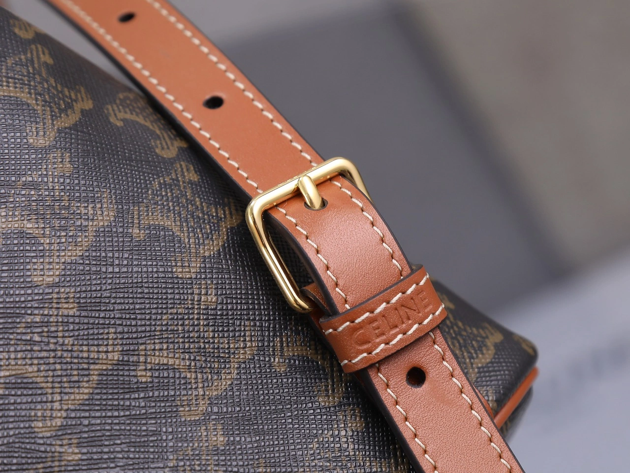 Celine Backpacks GoAnywhere 78545