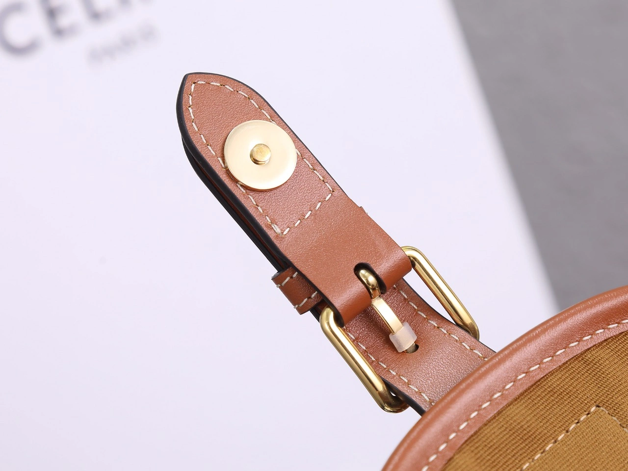 Celine Backpacks GoAnywhere 78545