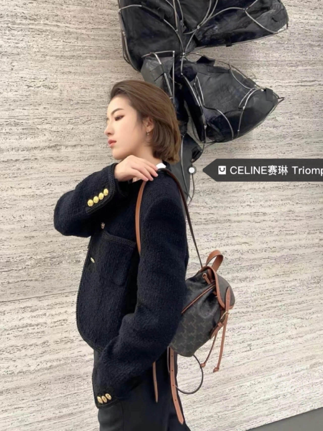 Celine Backpacks GoAnywhere 78545