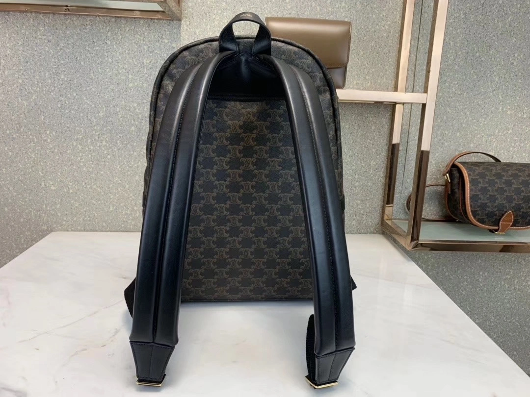 Celine Backpacks Resilient 73701