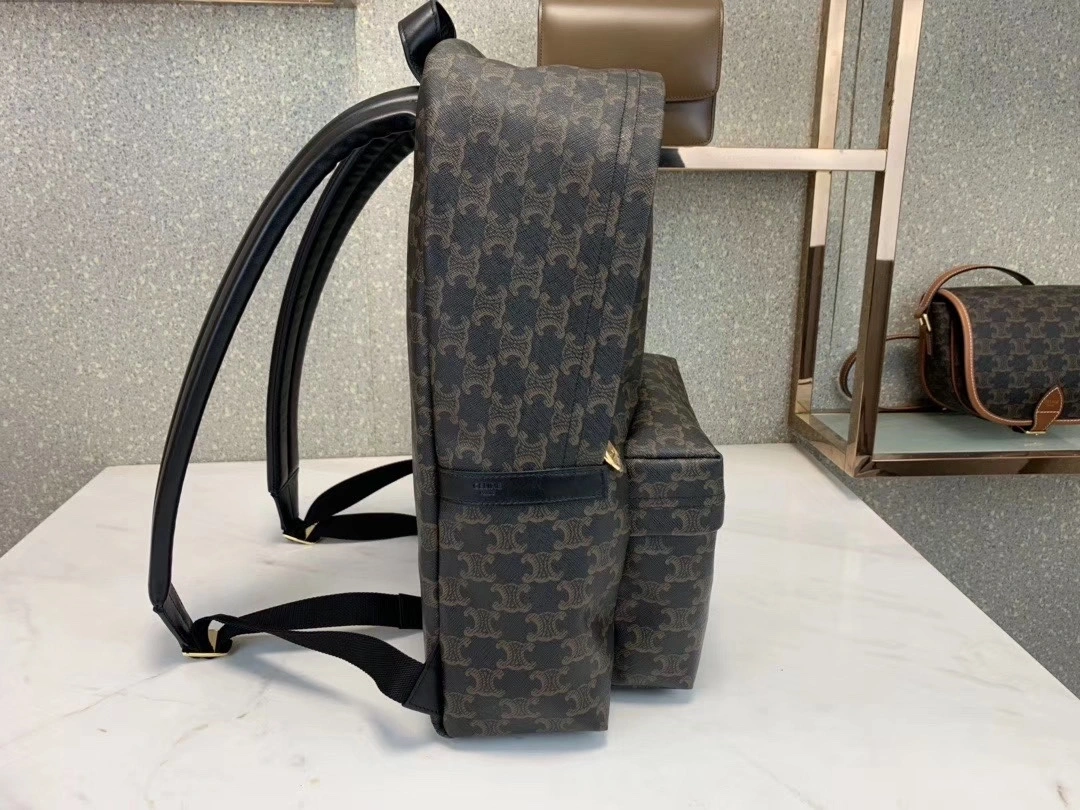 Celine Backpacks Resilient 73701