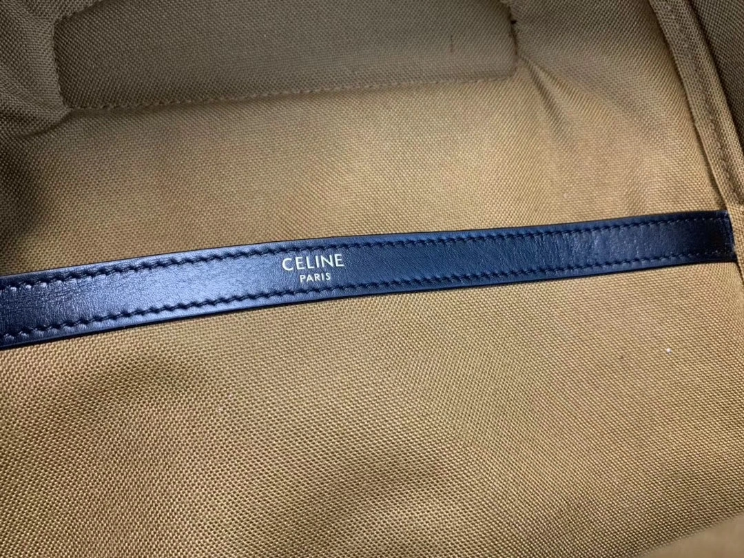 Celine Backpacks Resilient 73701