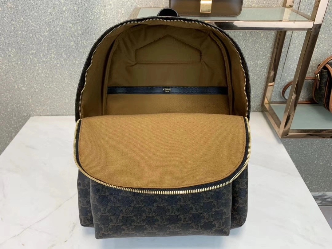 Celine Backpacks Resilient 73701