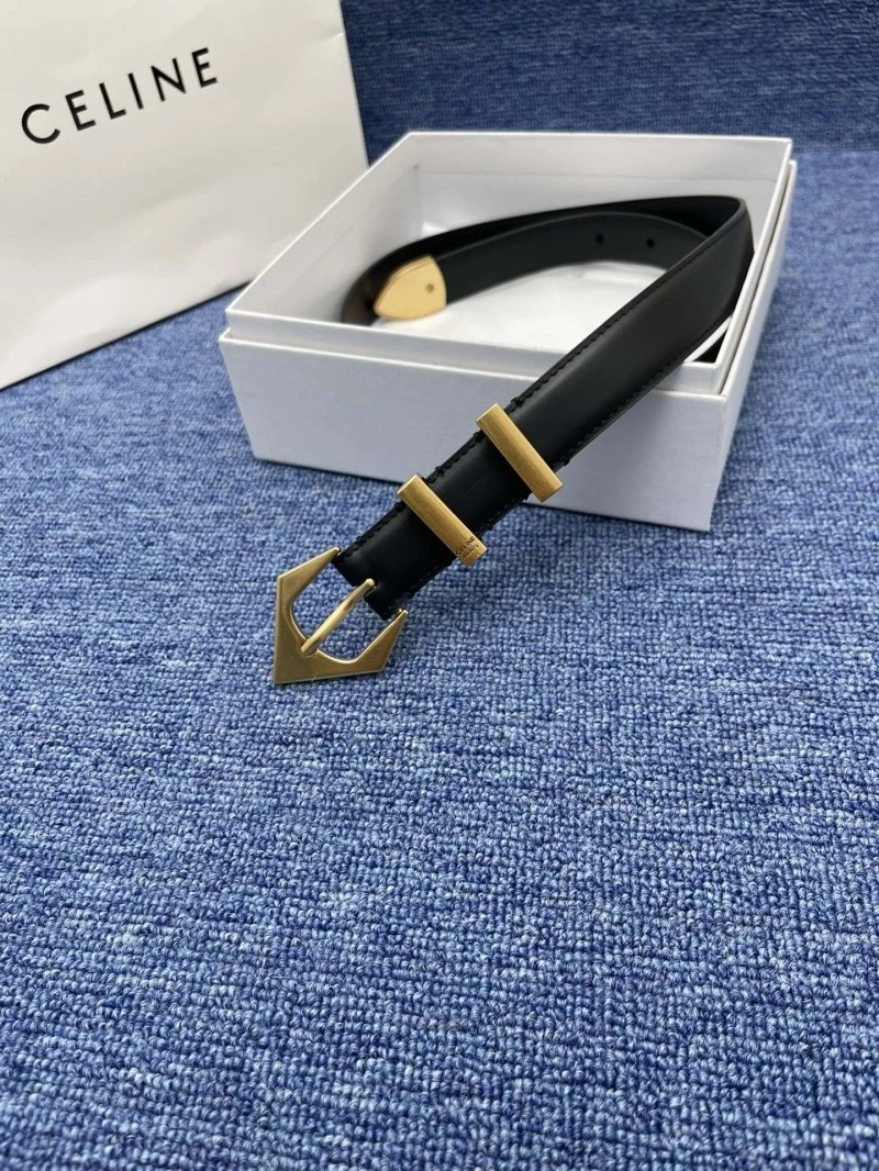 Timeless Celine Belts 283725