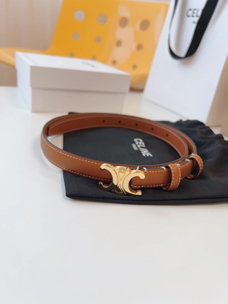WellDesigned Celine Belts 283714