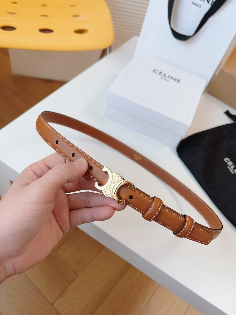 WellDesigned Celine Belts 283714
