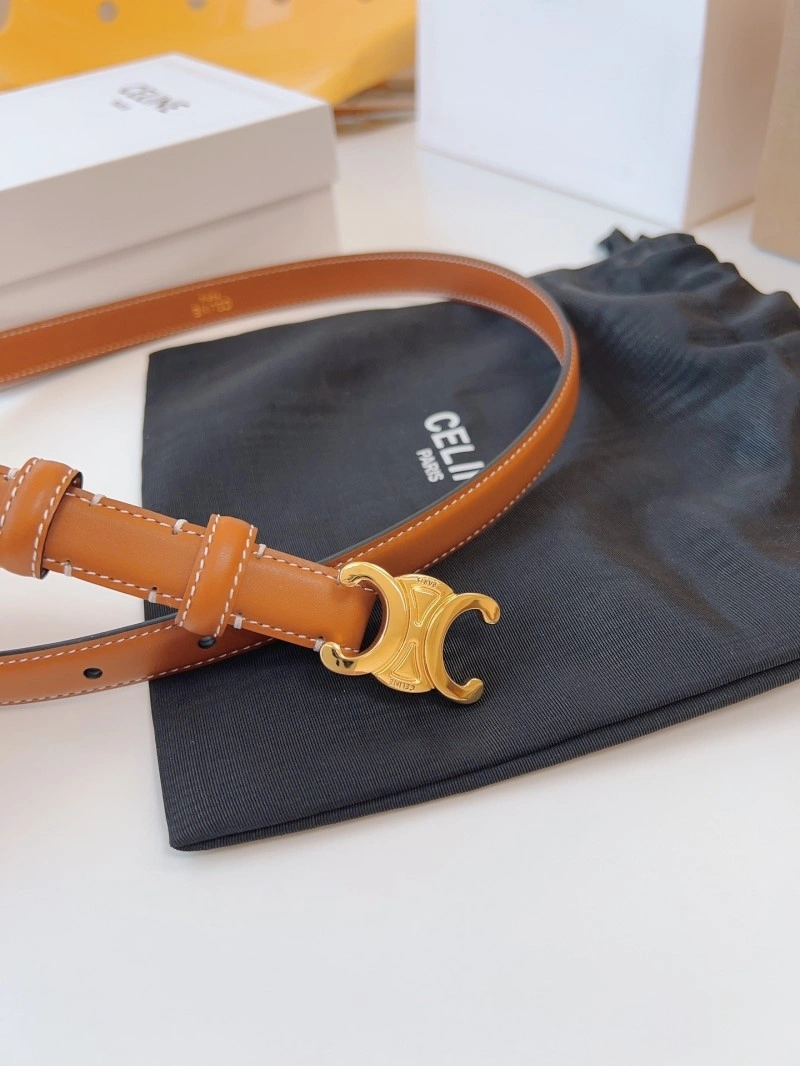 WellDesigned Celine Belts 283714