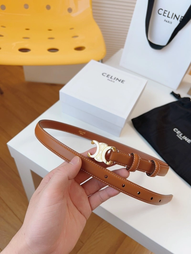 WellDesigned Celine Belts 283714