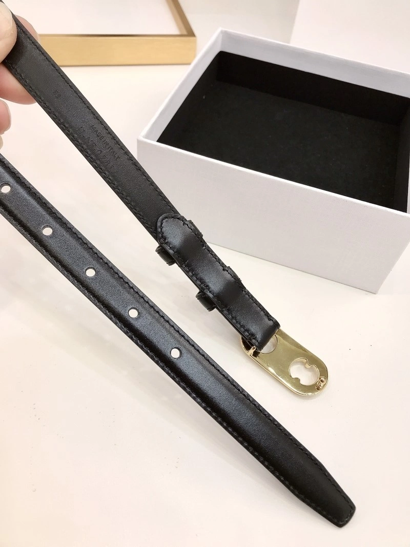 MultiPurpose Celine Belts 283815