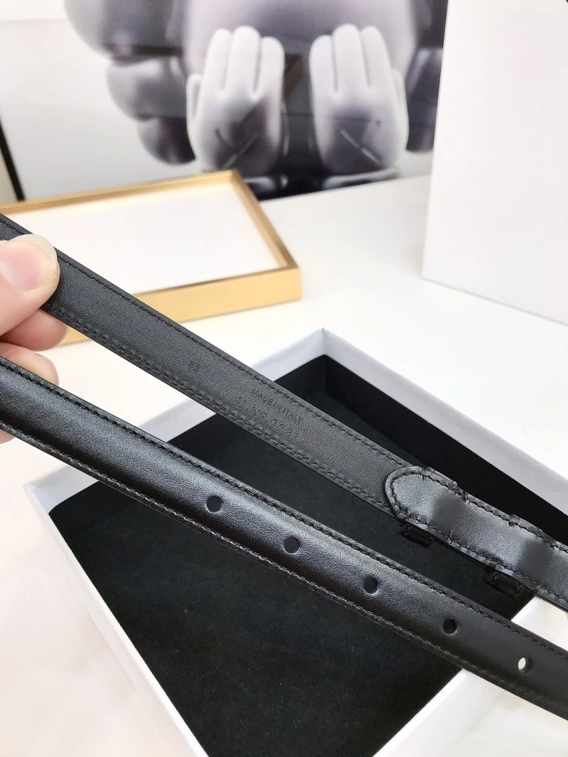 MultiPurpose Celine Belts 283815