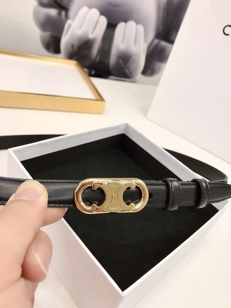 MultiPurpose Celine Belts 283815