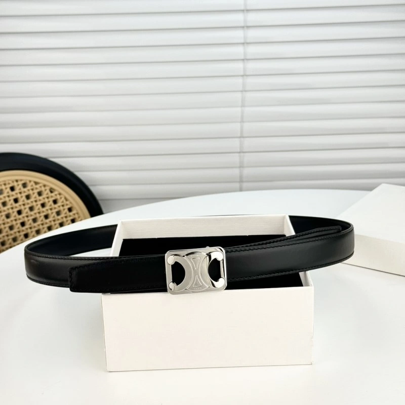 ZipUp Celine Belts 283782