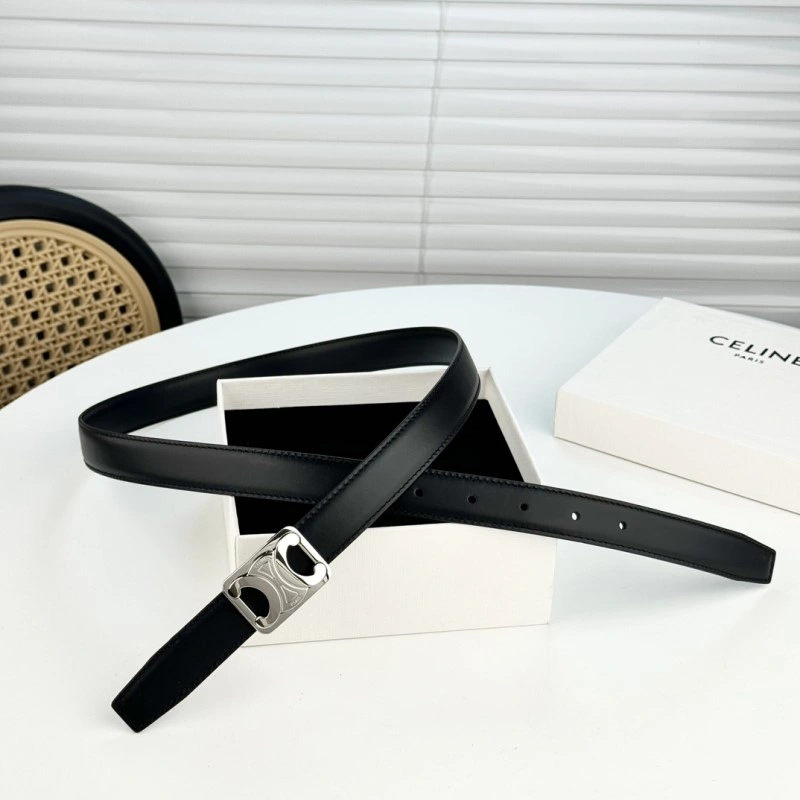 ZipUp Celine Belts 283782