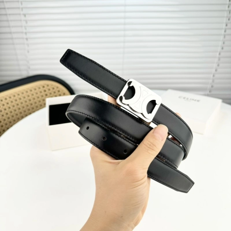 ZipUp Celine Belts 283782