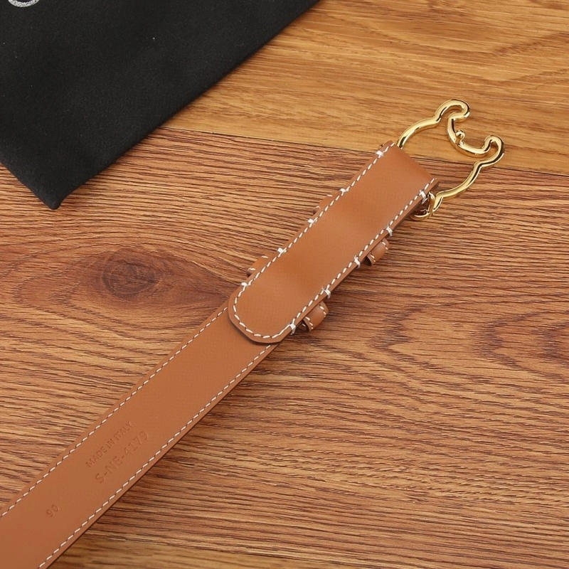 TechFriendly Celine Belts 283806