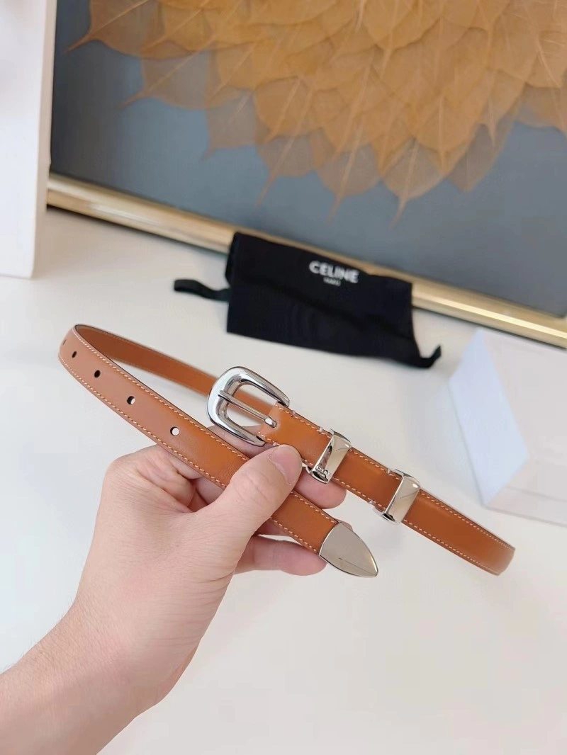 EyeCatching Celine Belts 283783