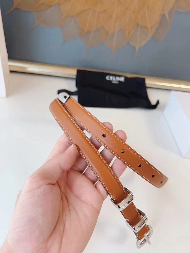 EyeCatching Celine Belts 283783