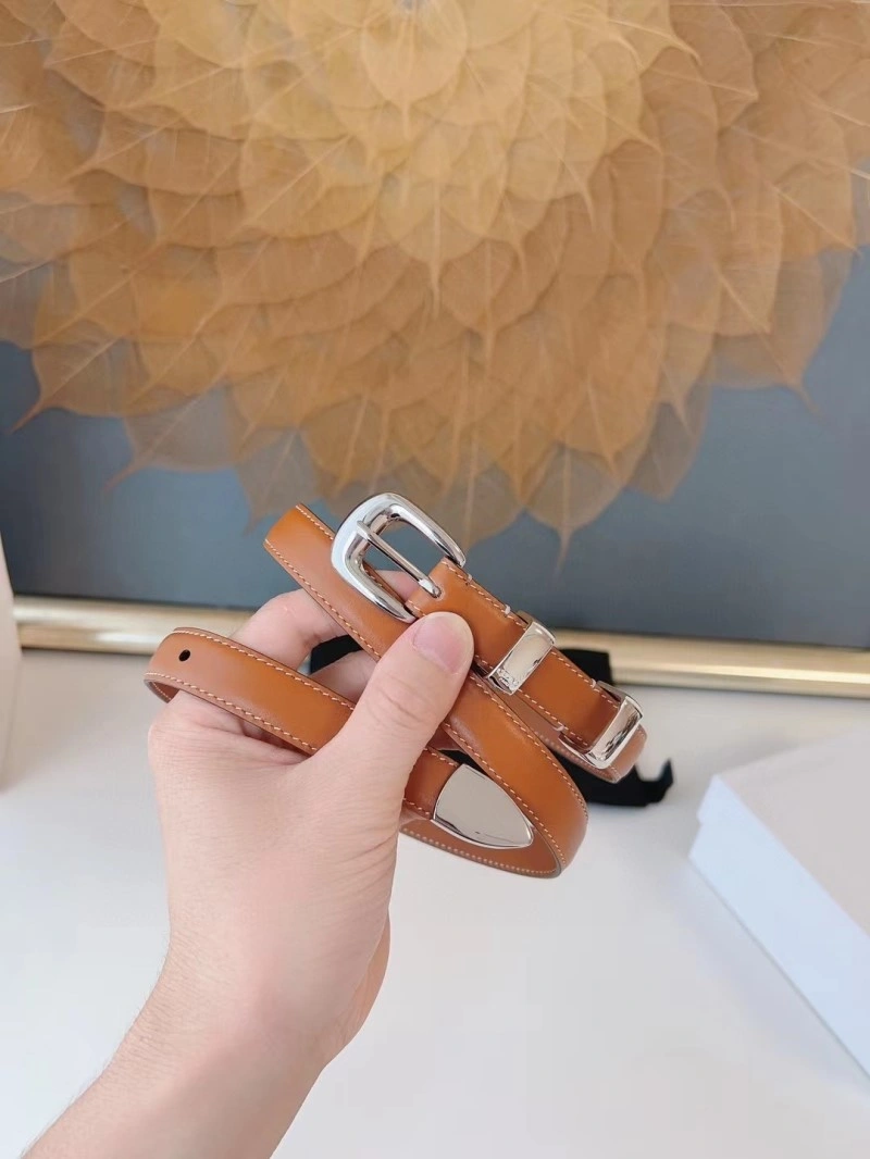 EyeCatching Celine Belts 283783