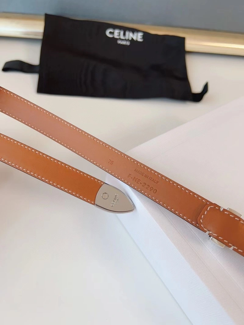 EyeCatching Celine Belts 283783
