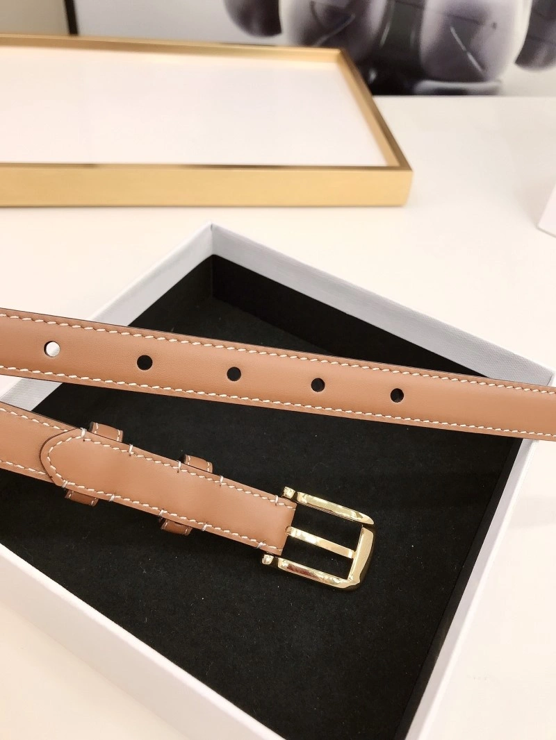 Celine Belts Seasonal 283770