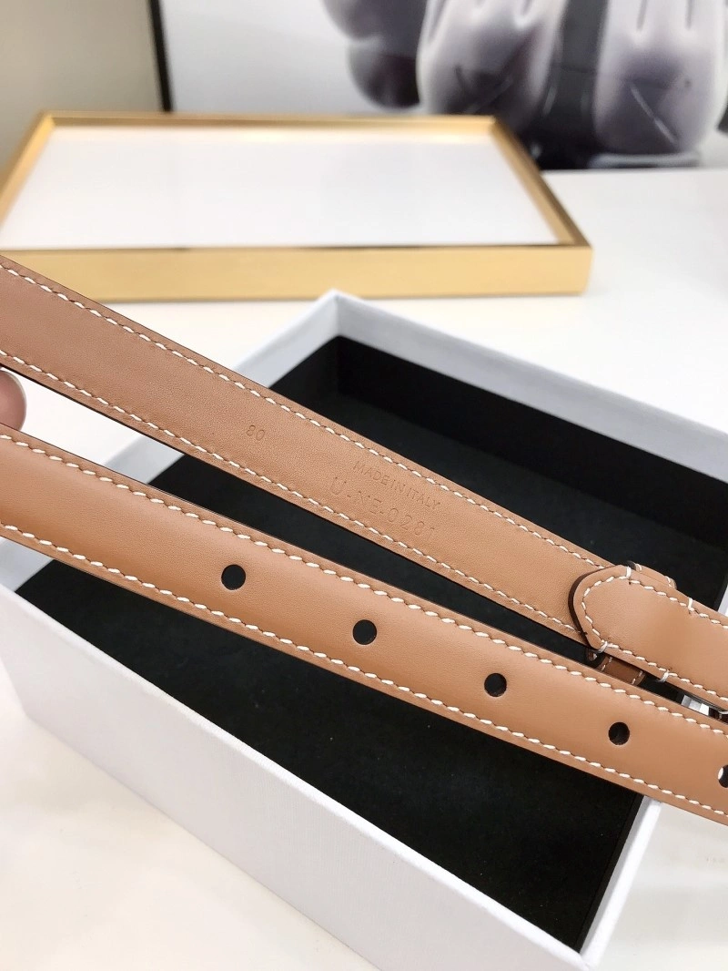 Celine Belts Seasonal 283770