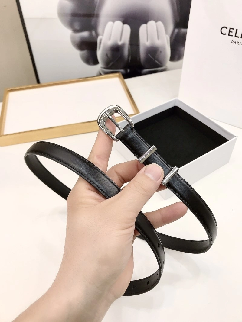 Celine Belts ZipUp 283752