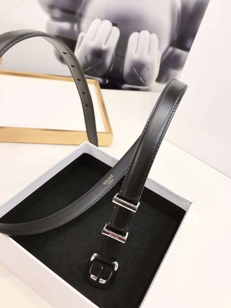 Celine Belts ZipUp 283752