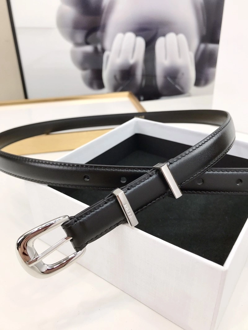 Celine Belts ZipUp 283752