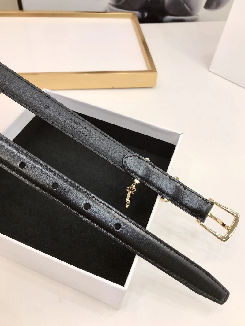 Resilient Celine Belts 283747