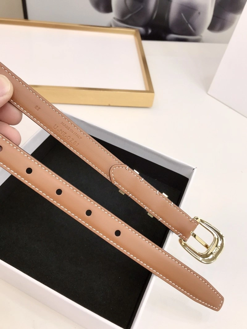 Celine Belts Trendsetting 283740