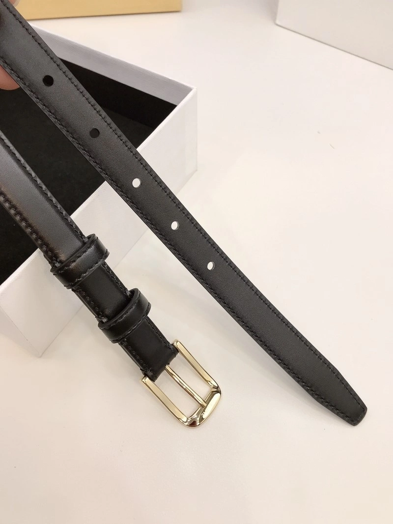 Celine Belts Classic 283761